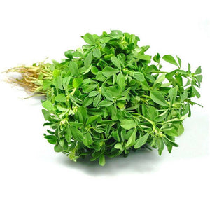 Fresh Methi Leaves (Fenugreek Leaves) – 1 Bunch