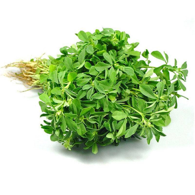 Fresh Methi Leaves (Fenugreek Leaves) – 1 Bunch