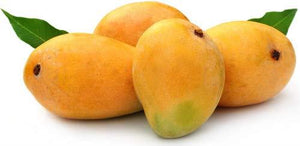 Alphonso Mango Pack of 12