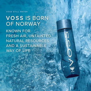 Voss Still Natural Artesian Water – 500ml Bottles (Pack of 24) | Premium Glass-Like Taste | BPA-Free Bottles | Refreshing Hydration | Suitable for All Diets