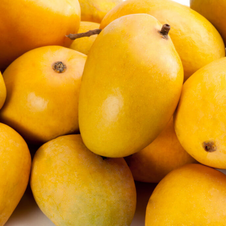 Alphonso Mango Pack of 12
