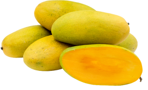 Alphonso Mango Pack of 12