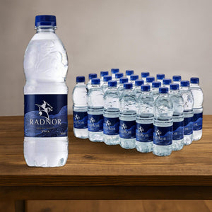 Radnor Hills Mineral Water Screw Cap Bottle 24x500ml - SCREW CAP