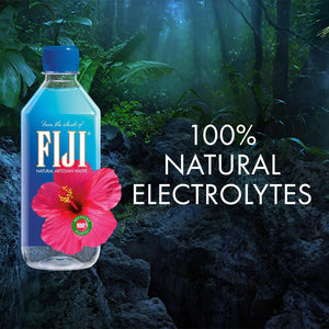 Fiji Natural Artesian Water – 500ml Bottles (Pack of 24) | Premium Still Water | BPA-Free Bottles | Refreshing Hydration | Suitable for All Diets