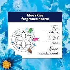 Comfort Professional Formula Blue Skies Concentrated Fabric Softener - 5L (200 Washes)