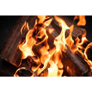 Homefire Instant Light Firelogs (Pack of 10)