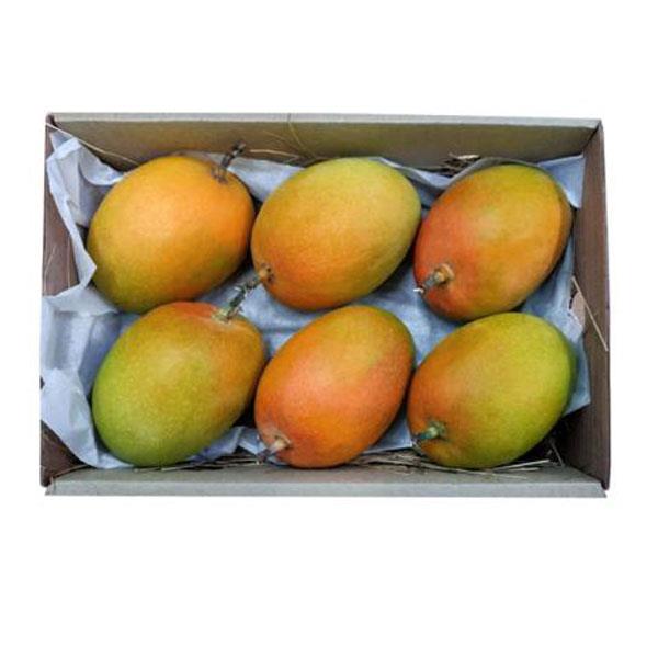 Alphonso Mango Pack of 6