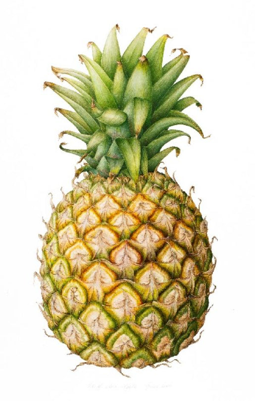 Ready To Eat Fresh Pineapple - Each