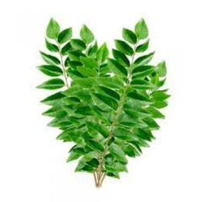 Curry Leaves - 1 Pack